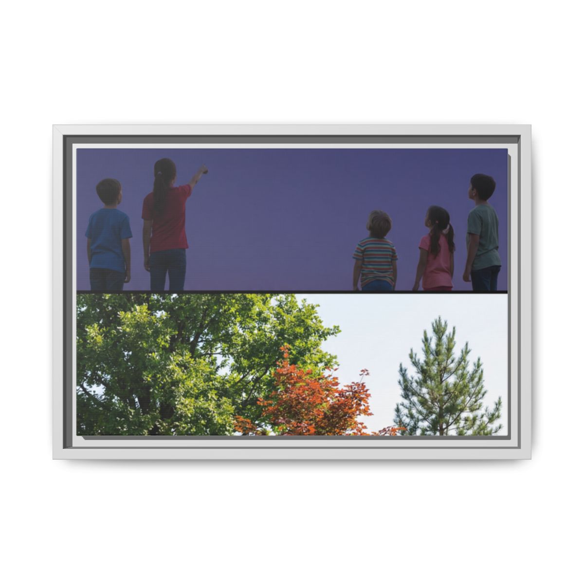 Framed Matte Canvas - Discovery — White / 1.25"