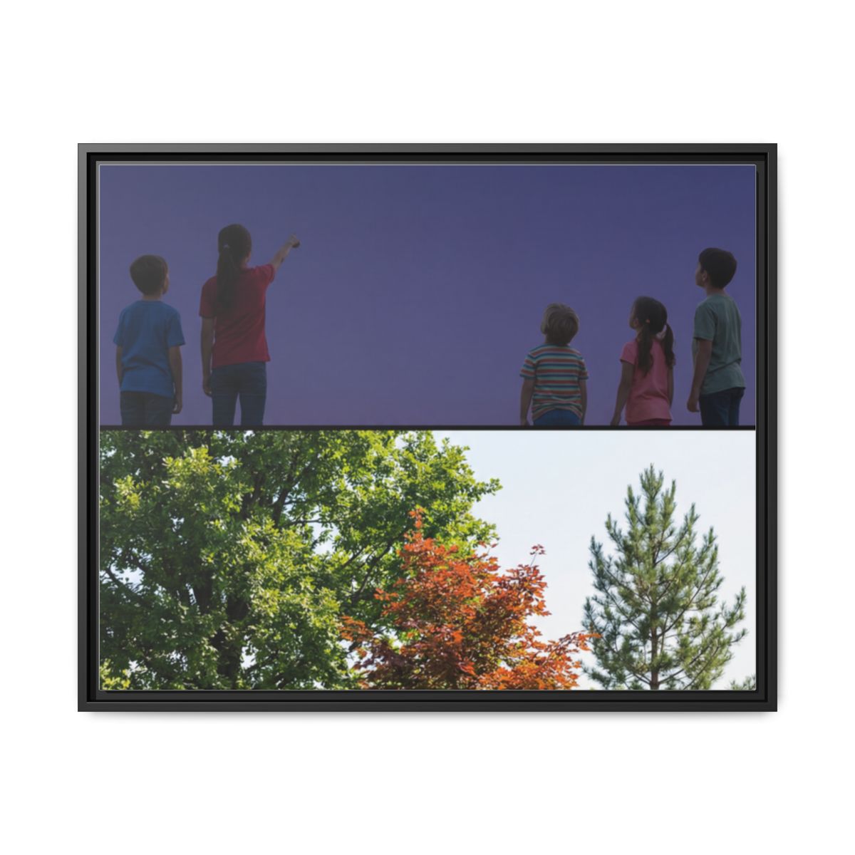 Framed Matte Canvas - Wilderness Gallery