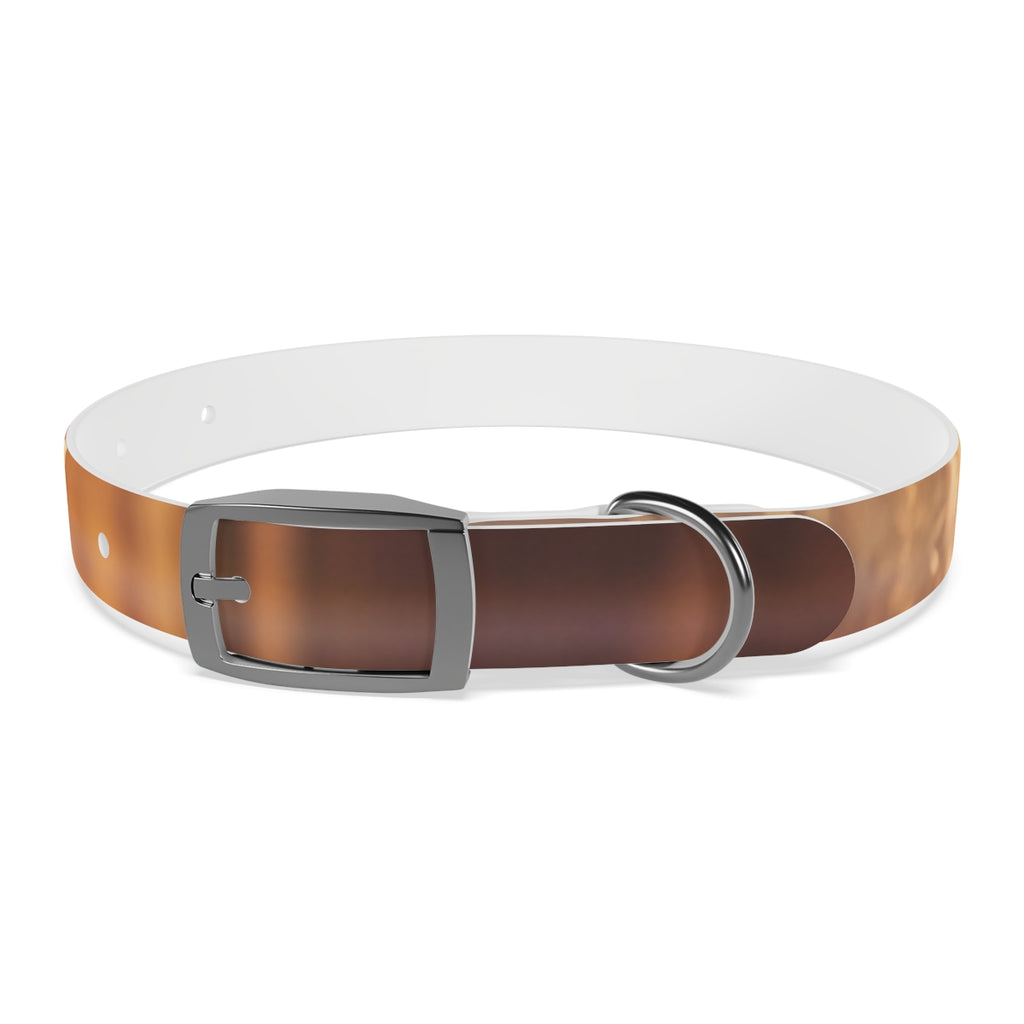Dog Collar - Shattered Light Aesthetic