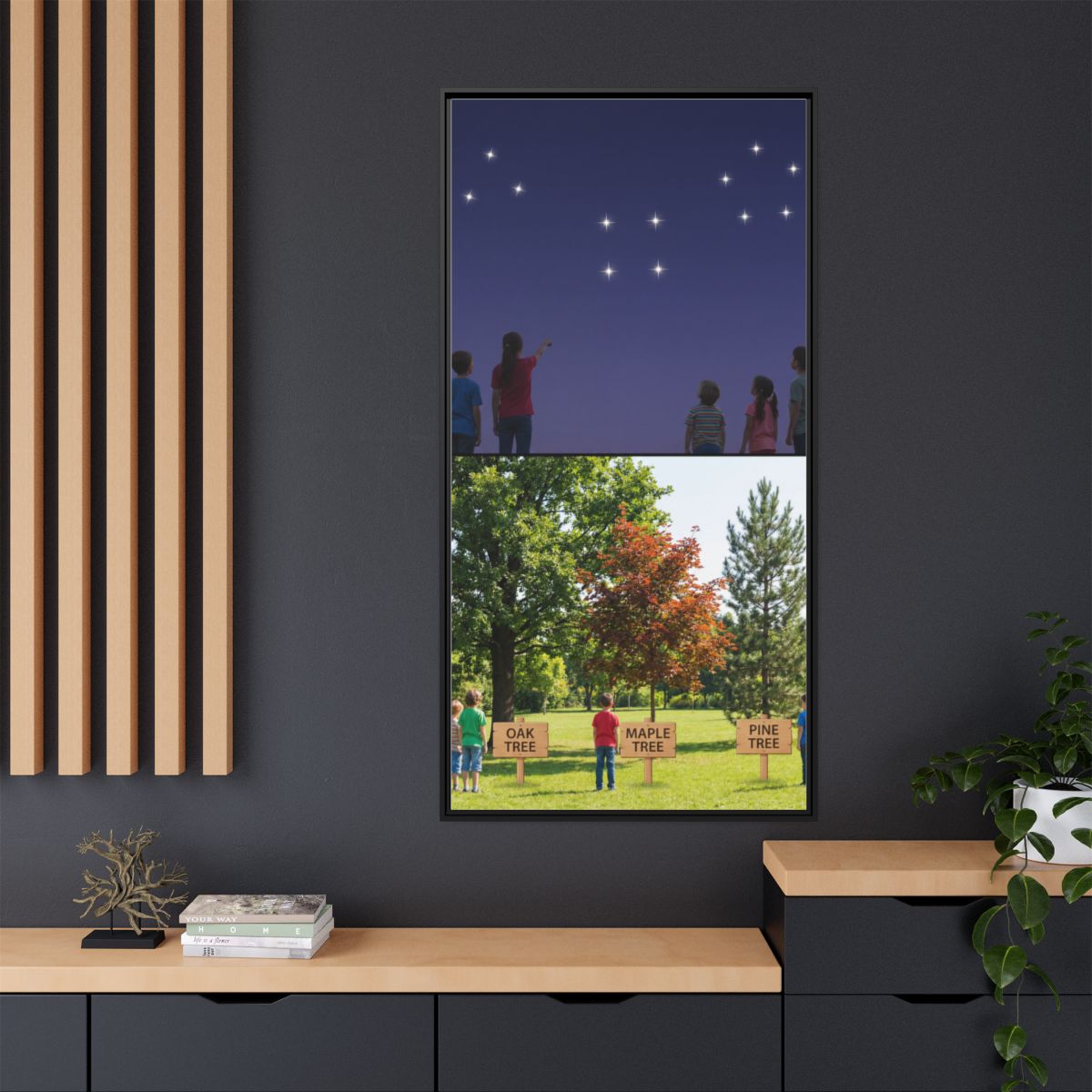 Framed Matte Canvas - Discovery — Black / 1.25"