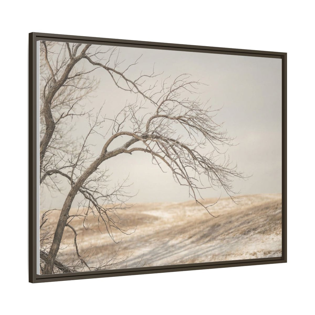 Framed Canvas Art - Minimalist Winter — Espresso / 1.25"