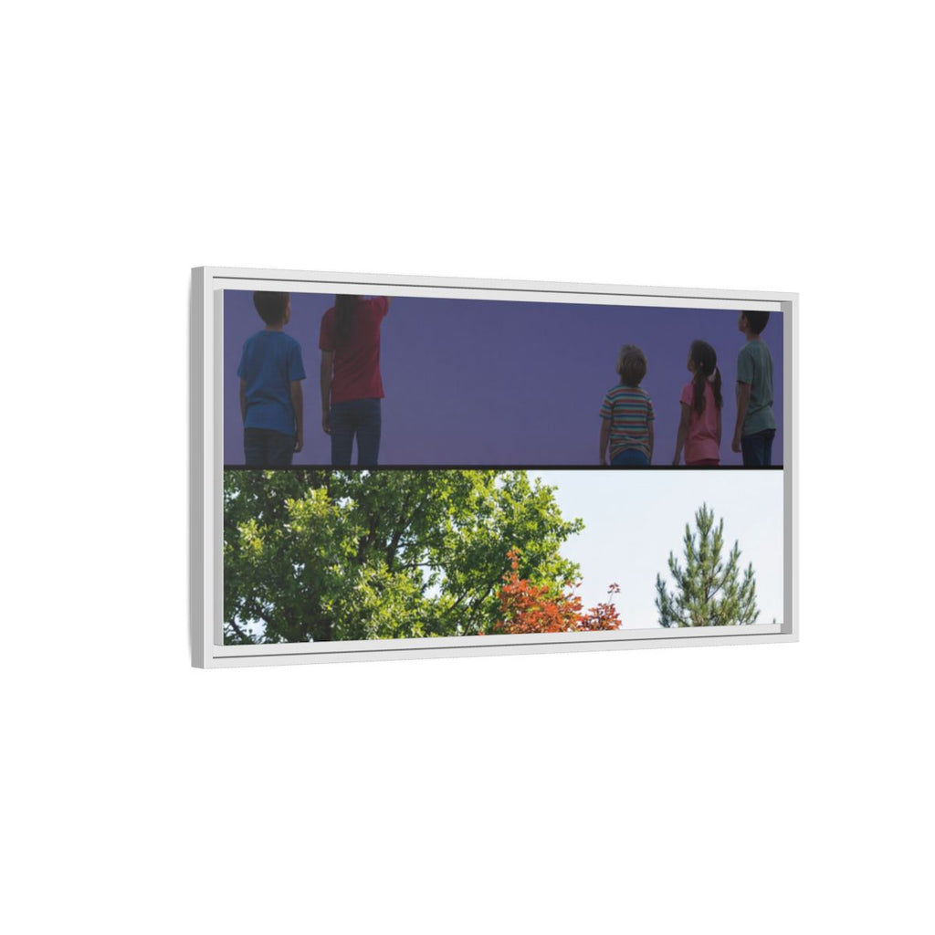 Framed Matte Canvas - Discovery — White / 1.25"