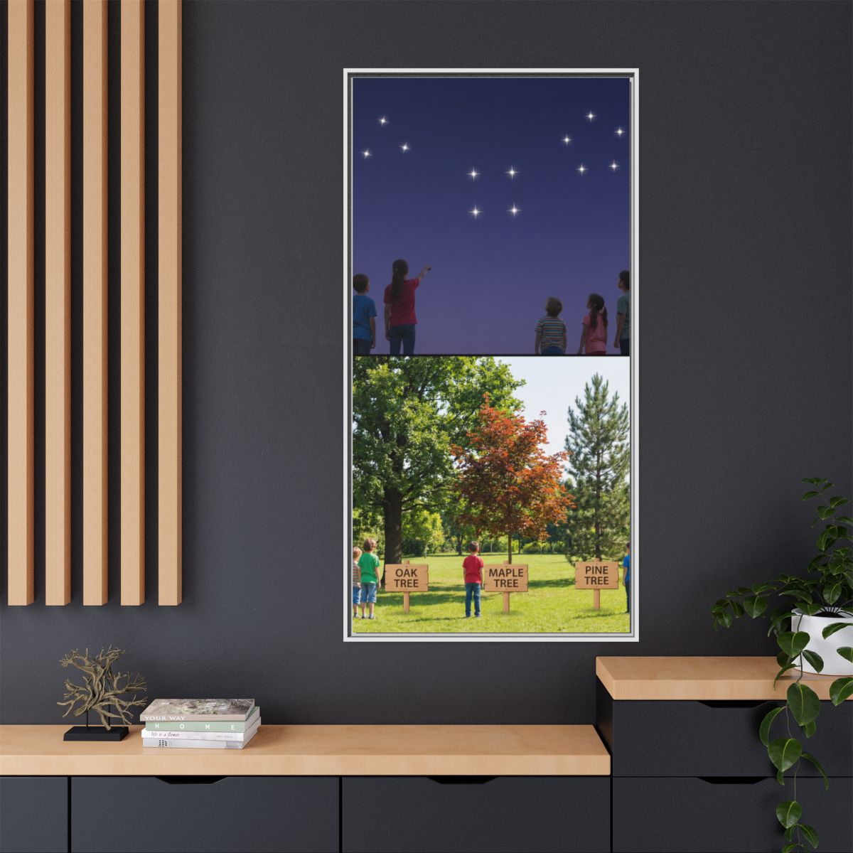 Framed Matte Canvas - Discovery — White / 1.25"