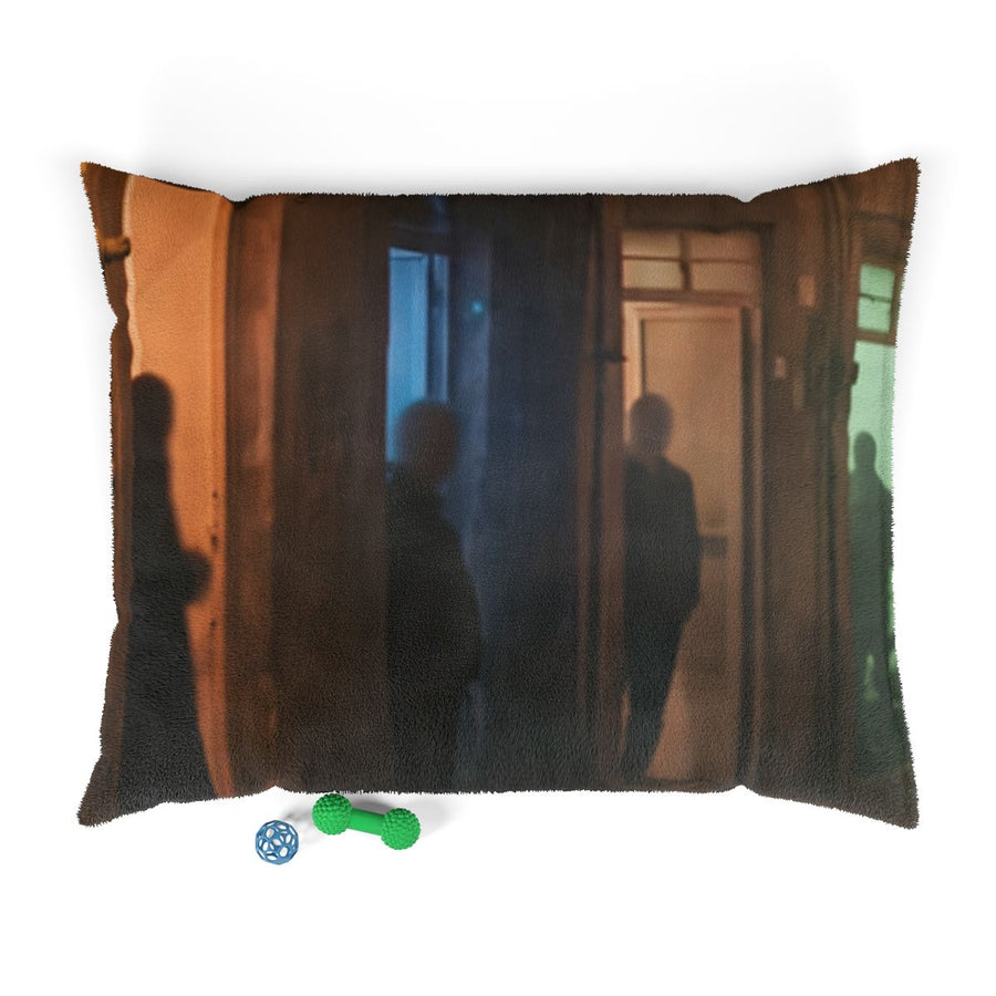 Pet Bed - Shadowed Alleyway Mystery Art Print