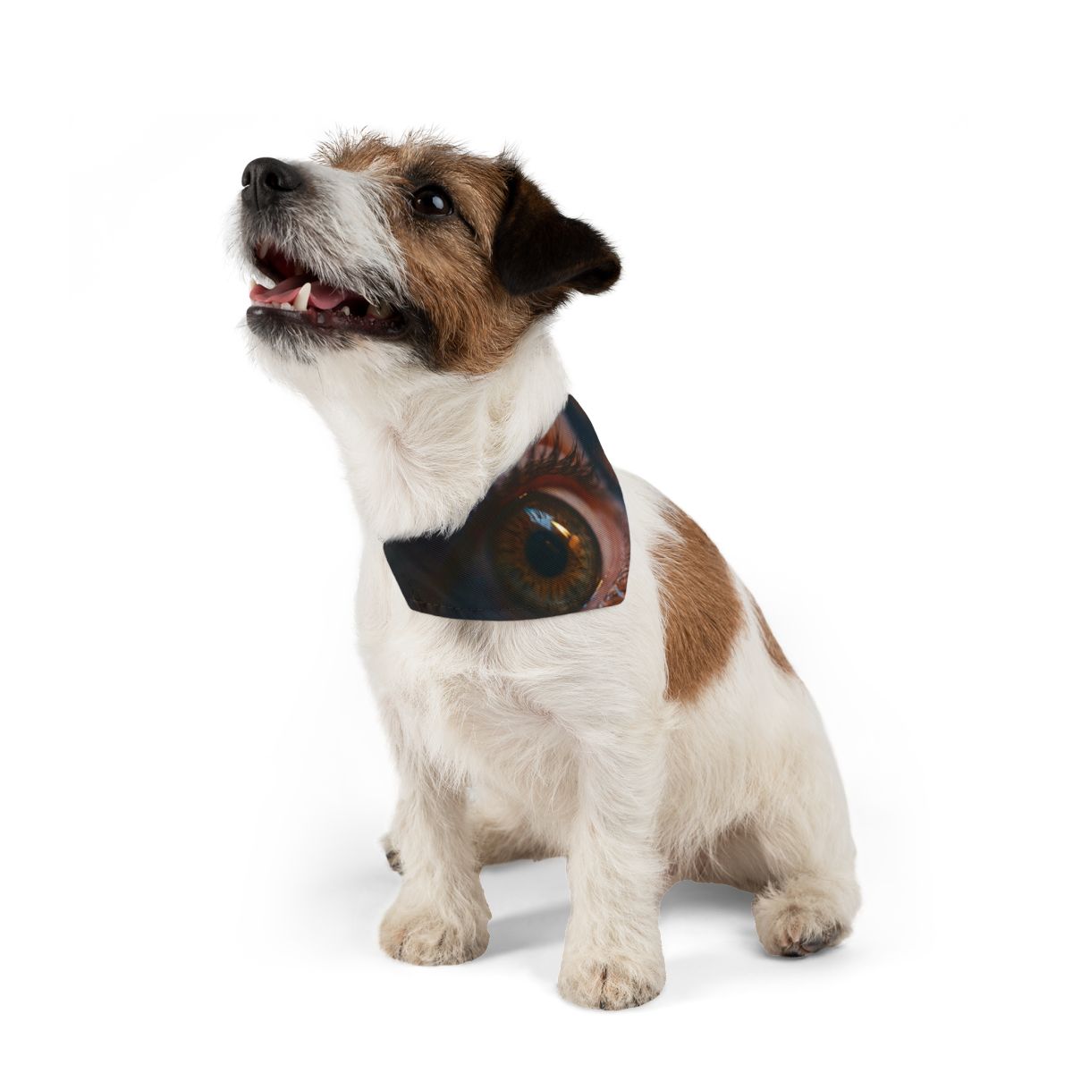Pet Bandana Collar - Luminous Tear
