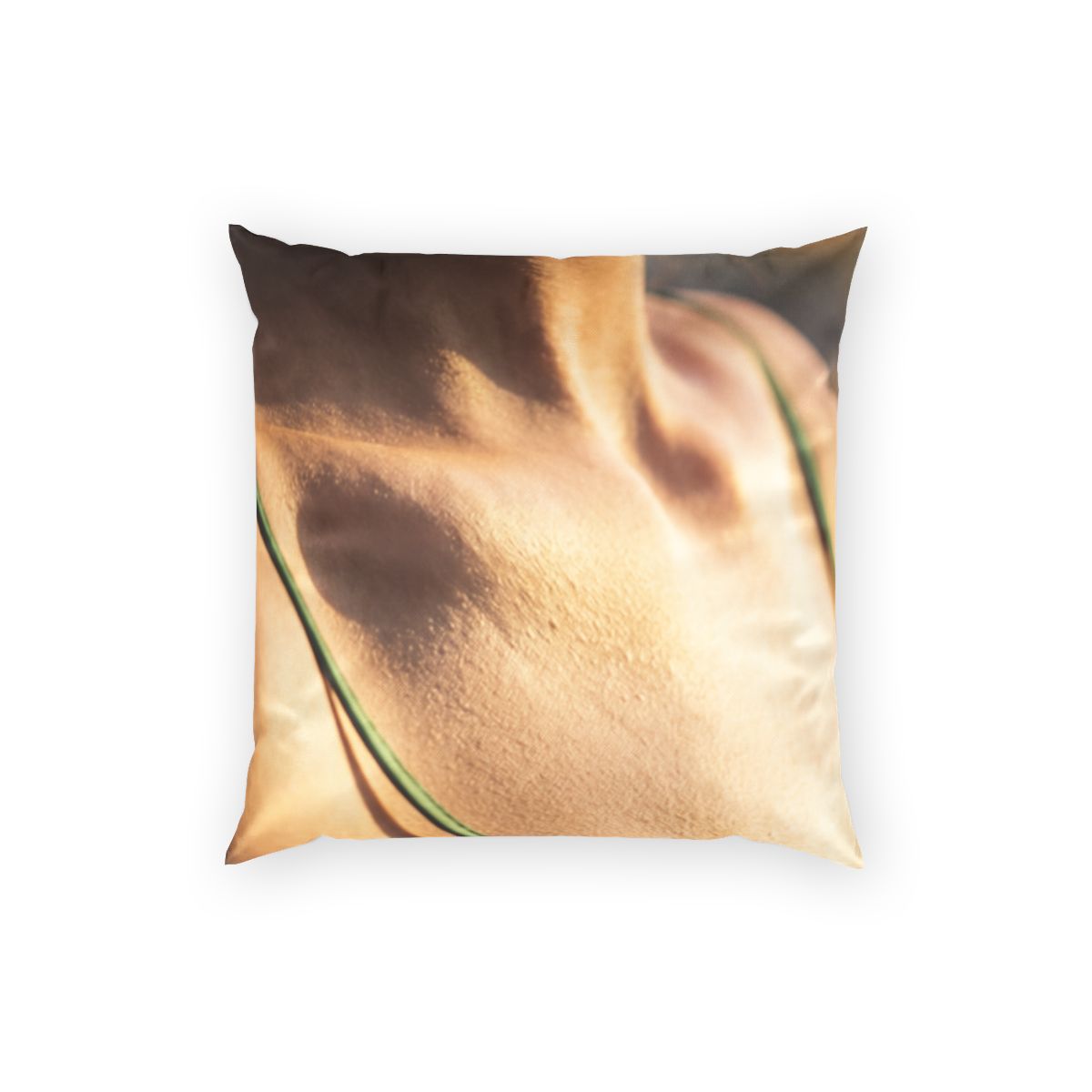 Golden Hour Poly Velvet Pillow - Emerald Sunset | Echovira...