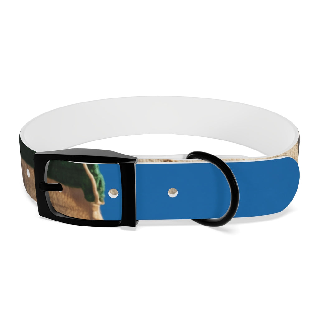 Dog Collar - Heritage Pride