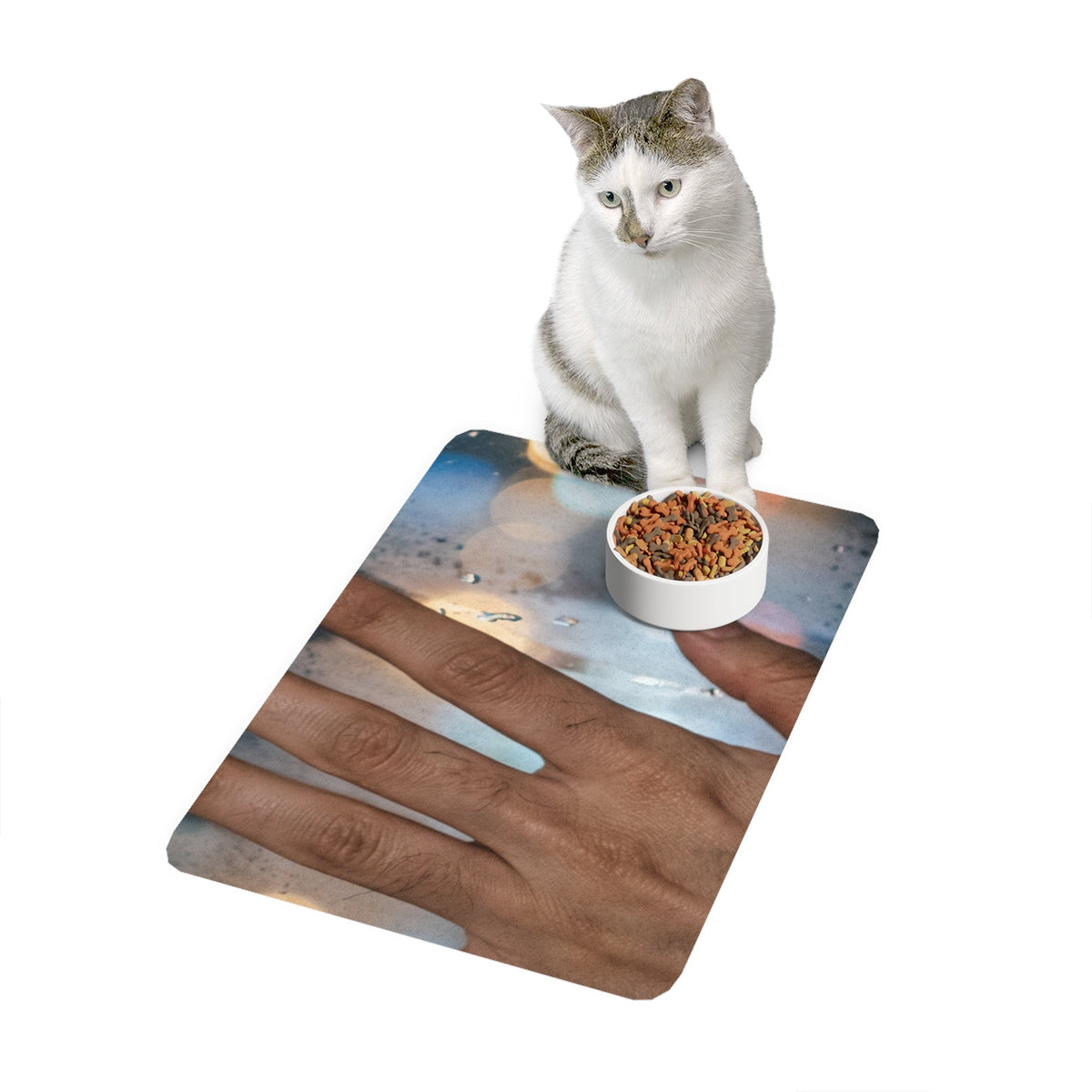 Pet Food Mat Rainy Nocturnal Window Art