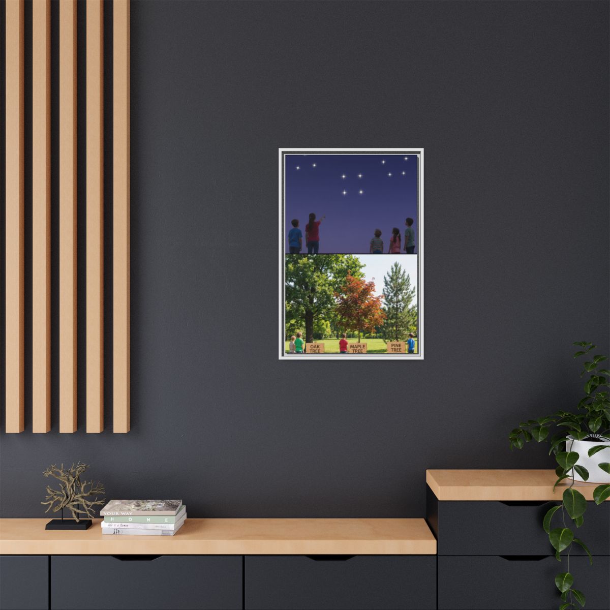 Framed Matte Canvas - Discovery — White / 1.25"