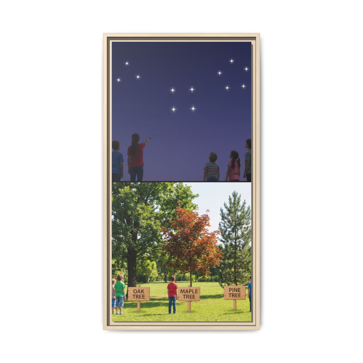Framed Matte Canvas - Discovery — Natural / 1.25"