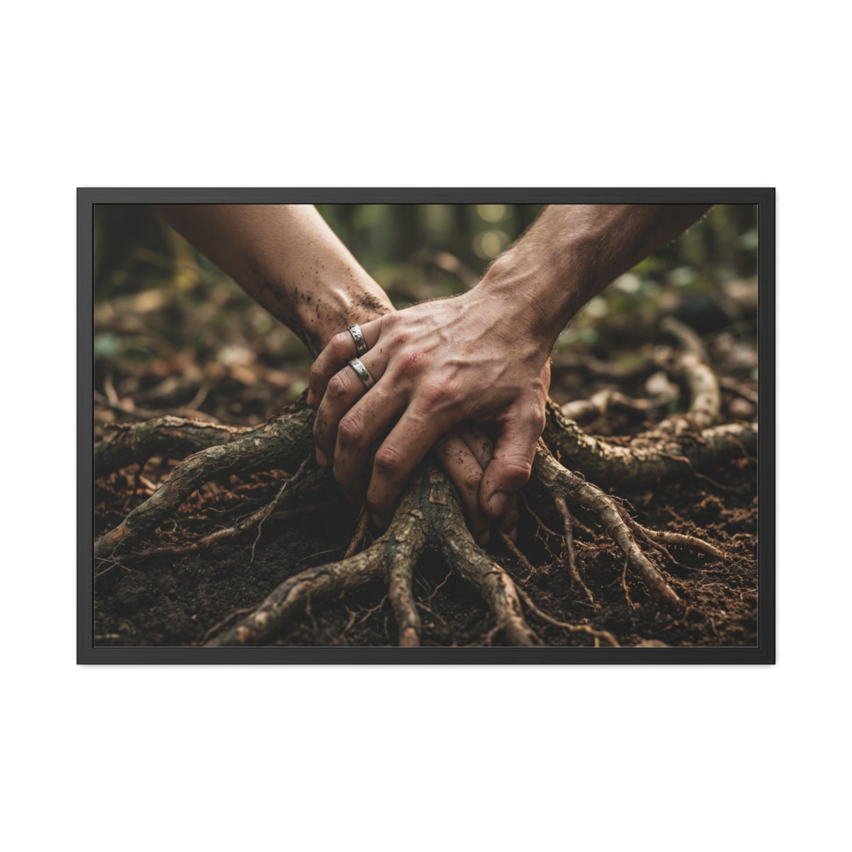Forest Roots Landscape Framed Poster