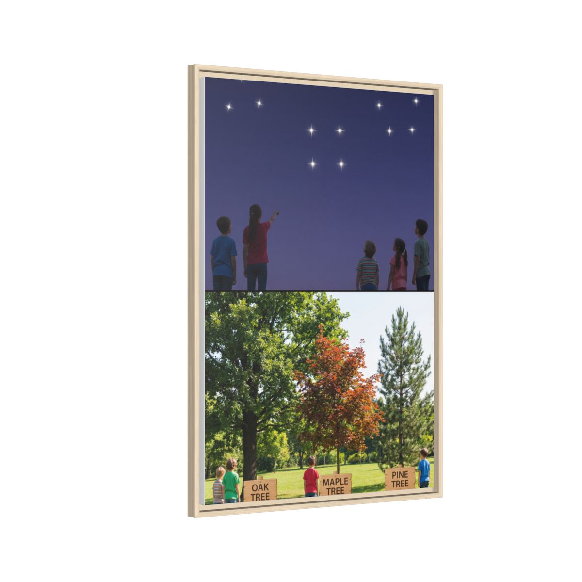 Framed Matte Canvas - Discovery — Natural / 1.25"