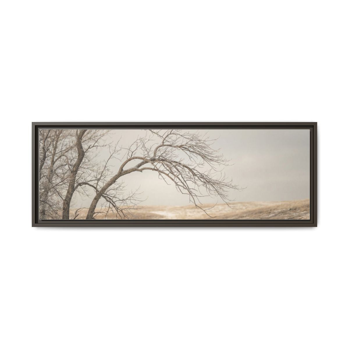 Framed Canvas Art - Minimalist Winter — Espresso / 1.25"