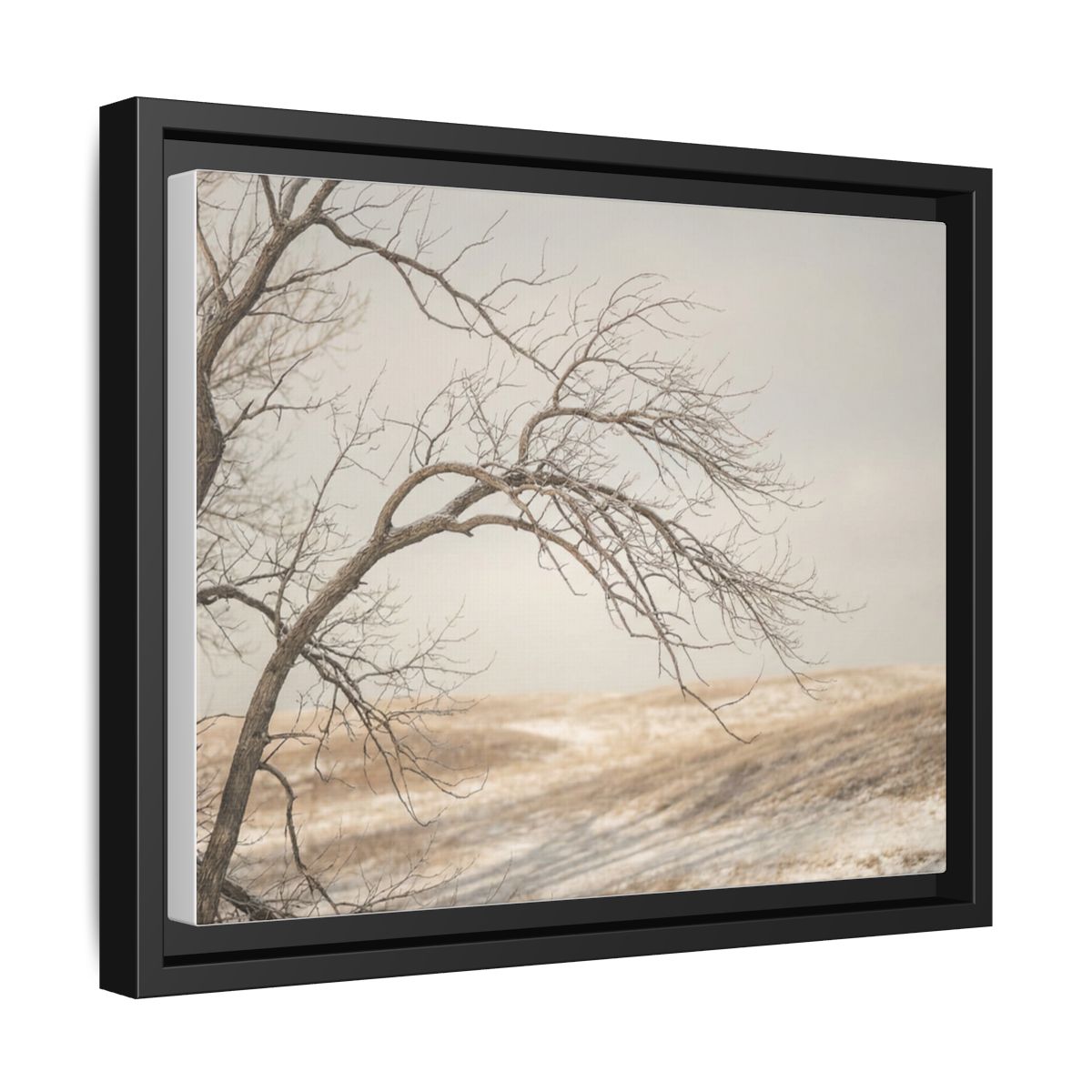 Framed Canvas Art - Minimalist Winter — Black / 1.25"