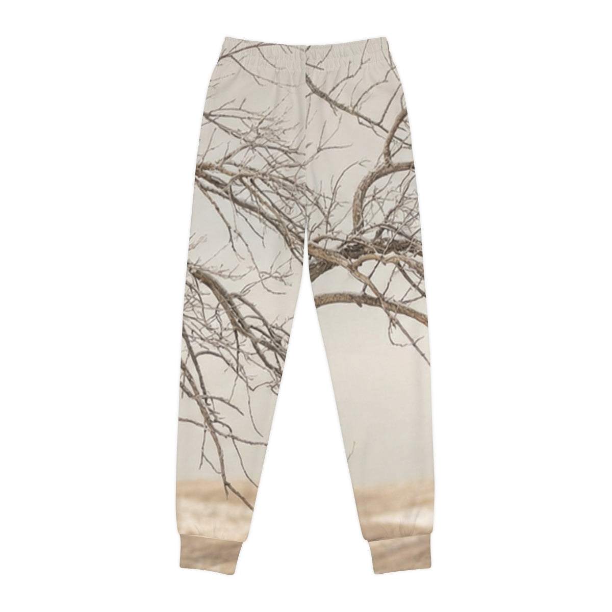 Youth Joggers - Silent Branches Winter Landscape Photo |...