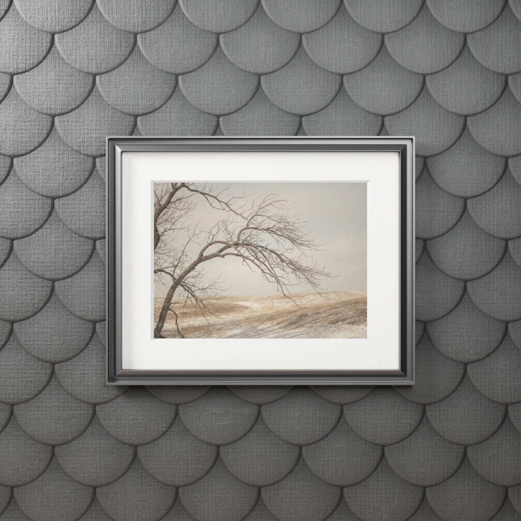 Framed Fine Art Print - Hushed Winter — Landscape