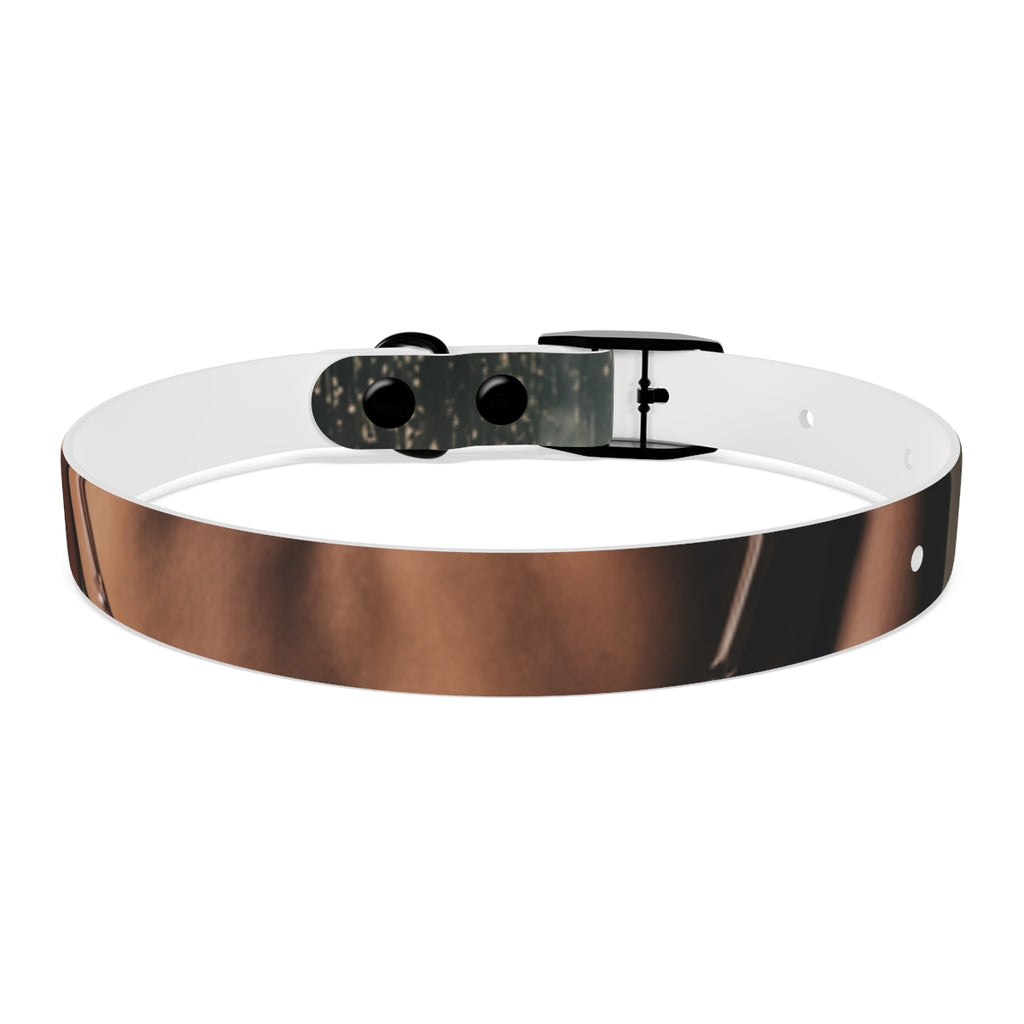 Dog Collar - Midnight Glow Style