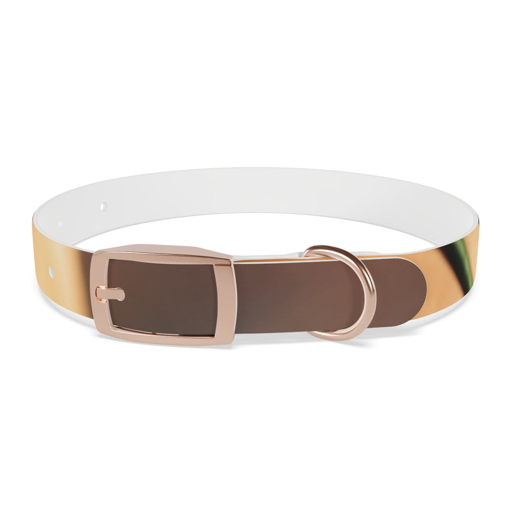 Dog Collar - Golden Hour Glow
