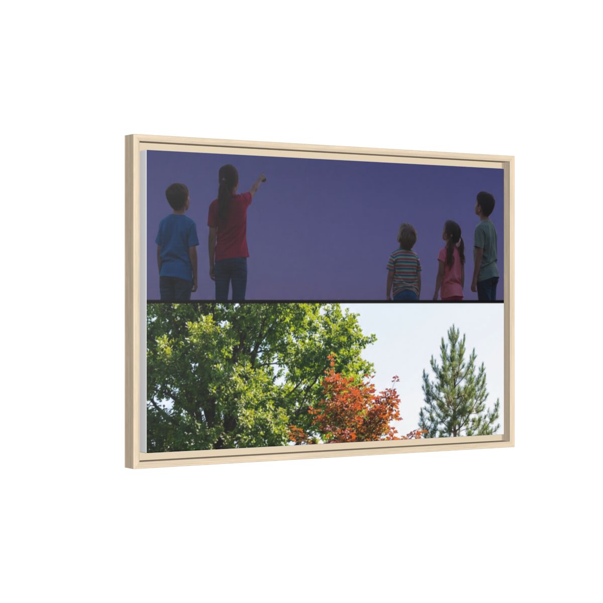 Framed Matte Canvas - Wilderness Gallery