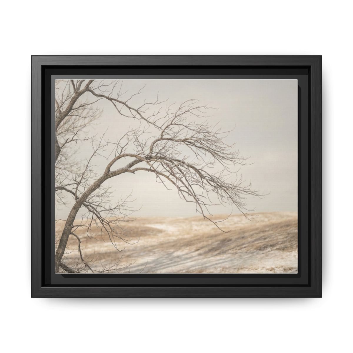 Framed Canvas Art - Minimalist Winter — Black / 1.25"