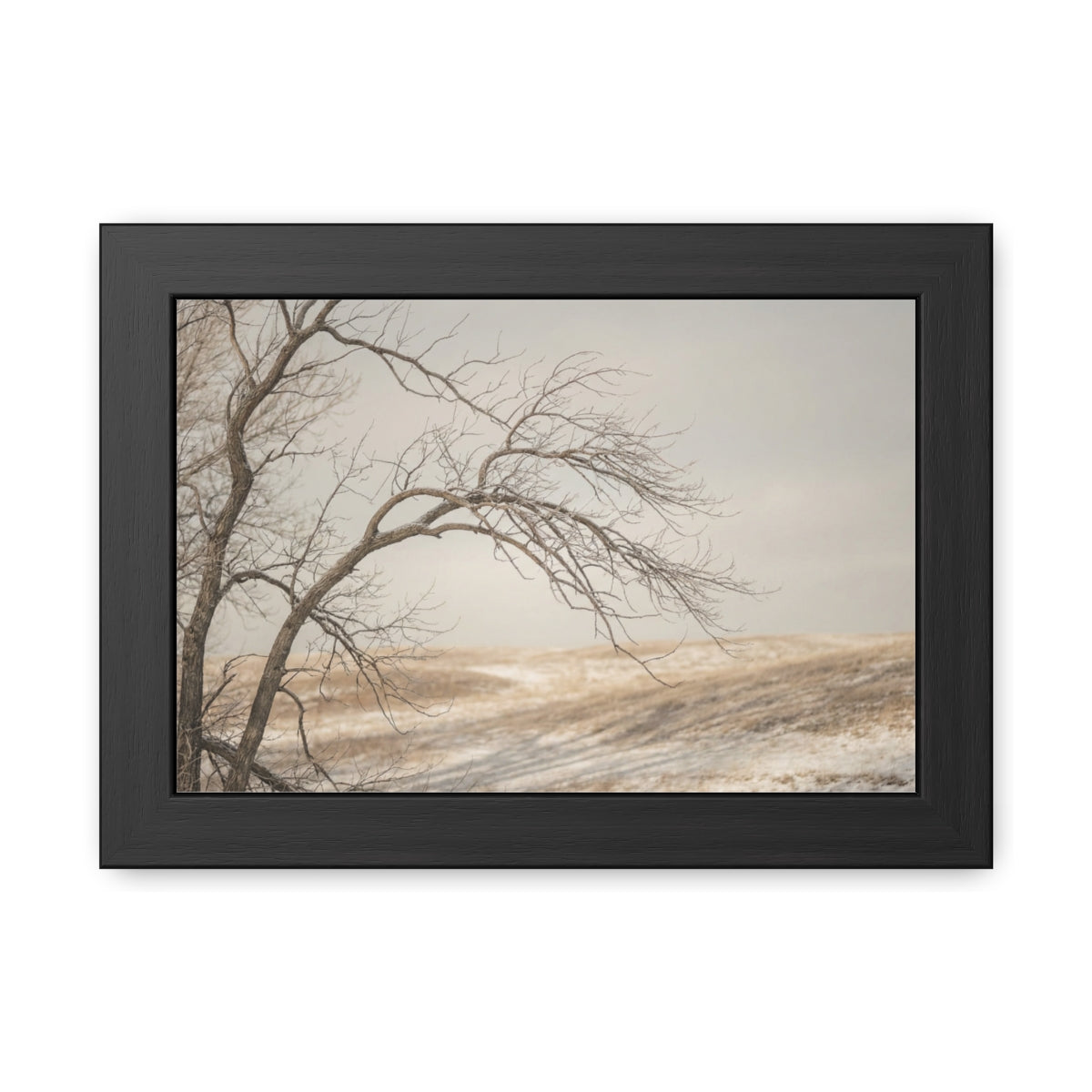 Framed Poster - Minimalist Winter Tree — Landscape