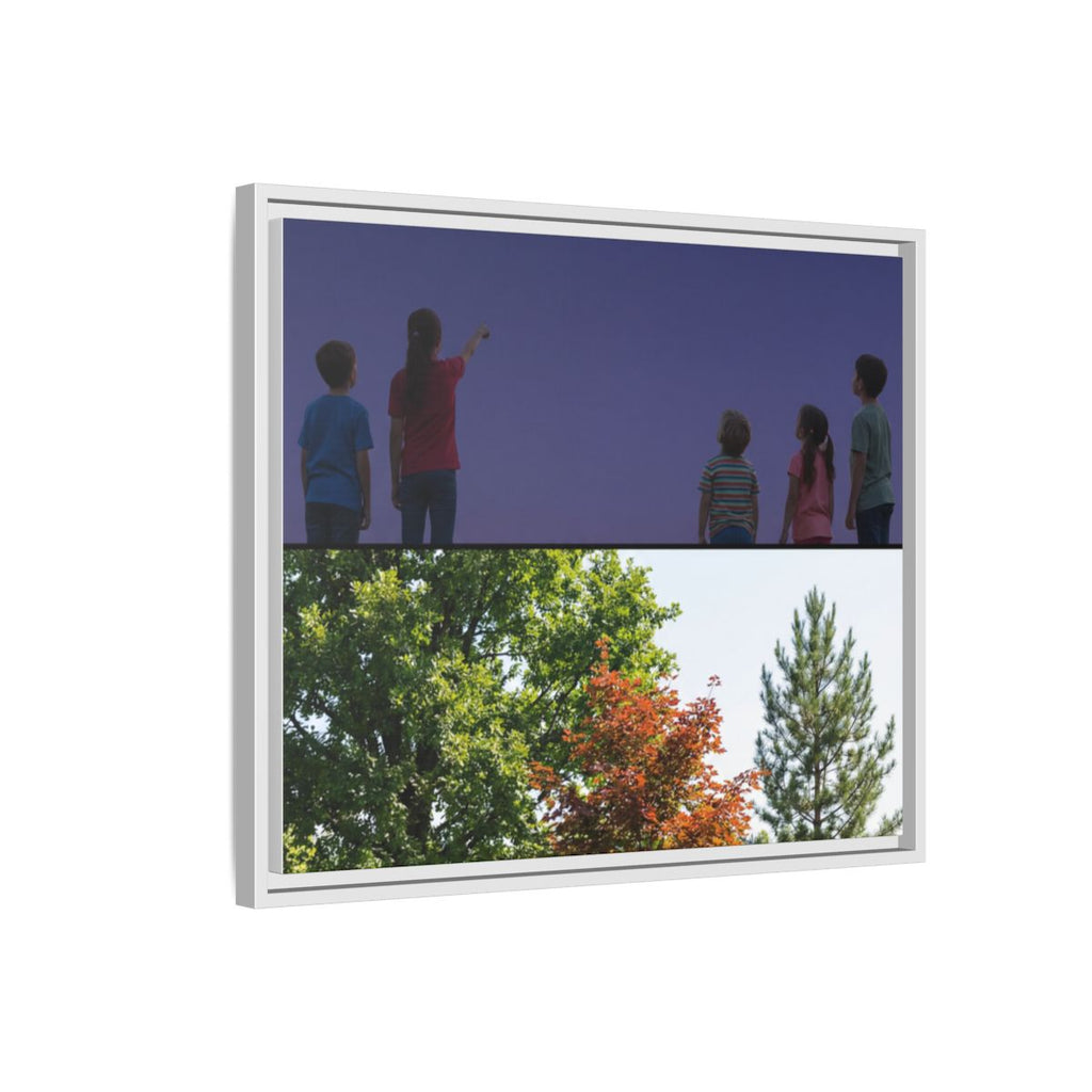 Framed Matte Canvas - Discovery — White / 1.25"