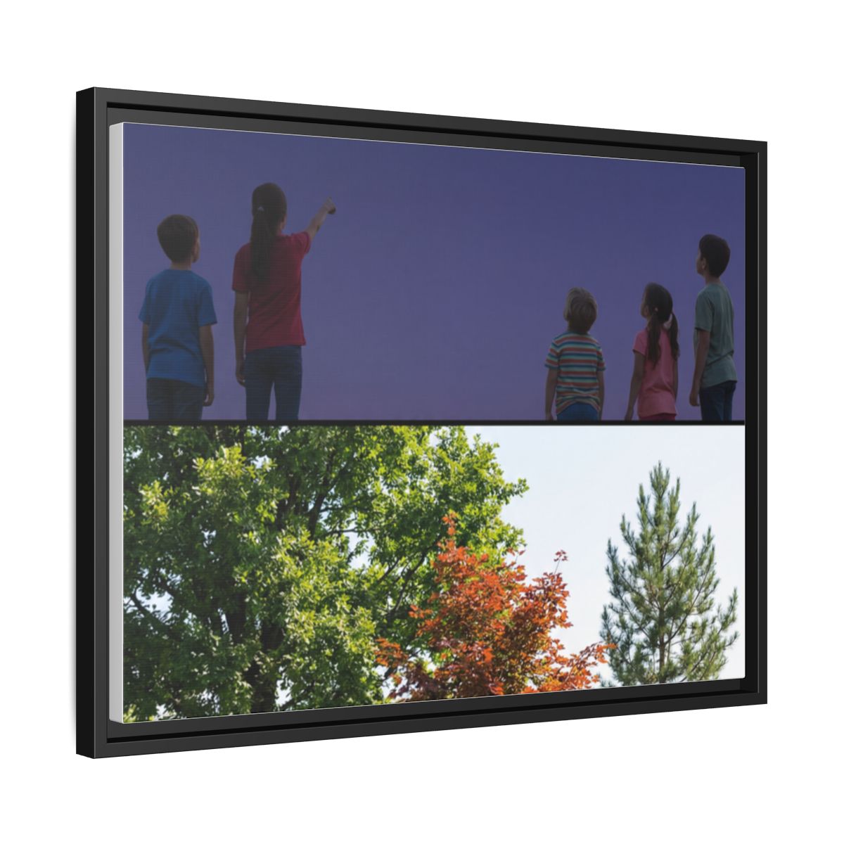 Framed Matte Canvas - Wilderness Gallery