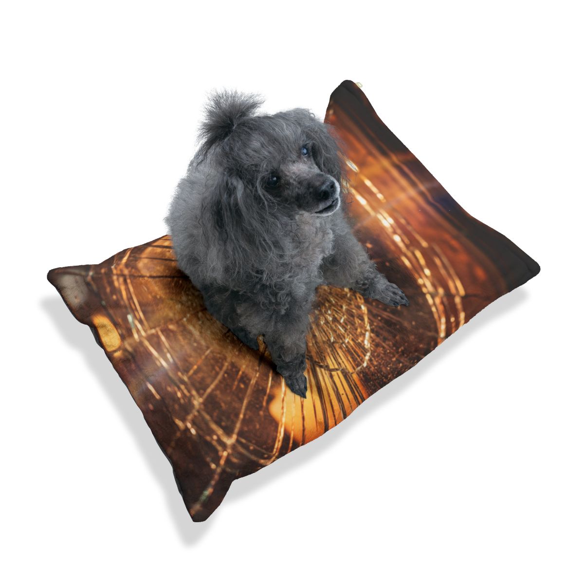 Pet Bed - Cinematic Amber Sanctuary