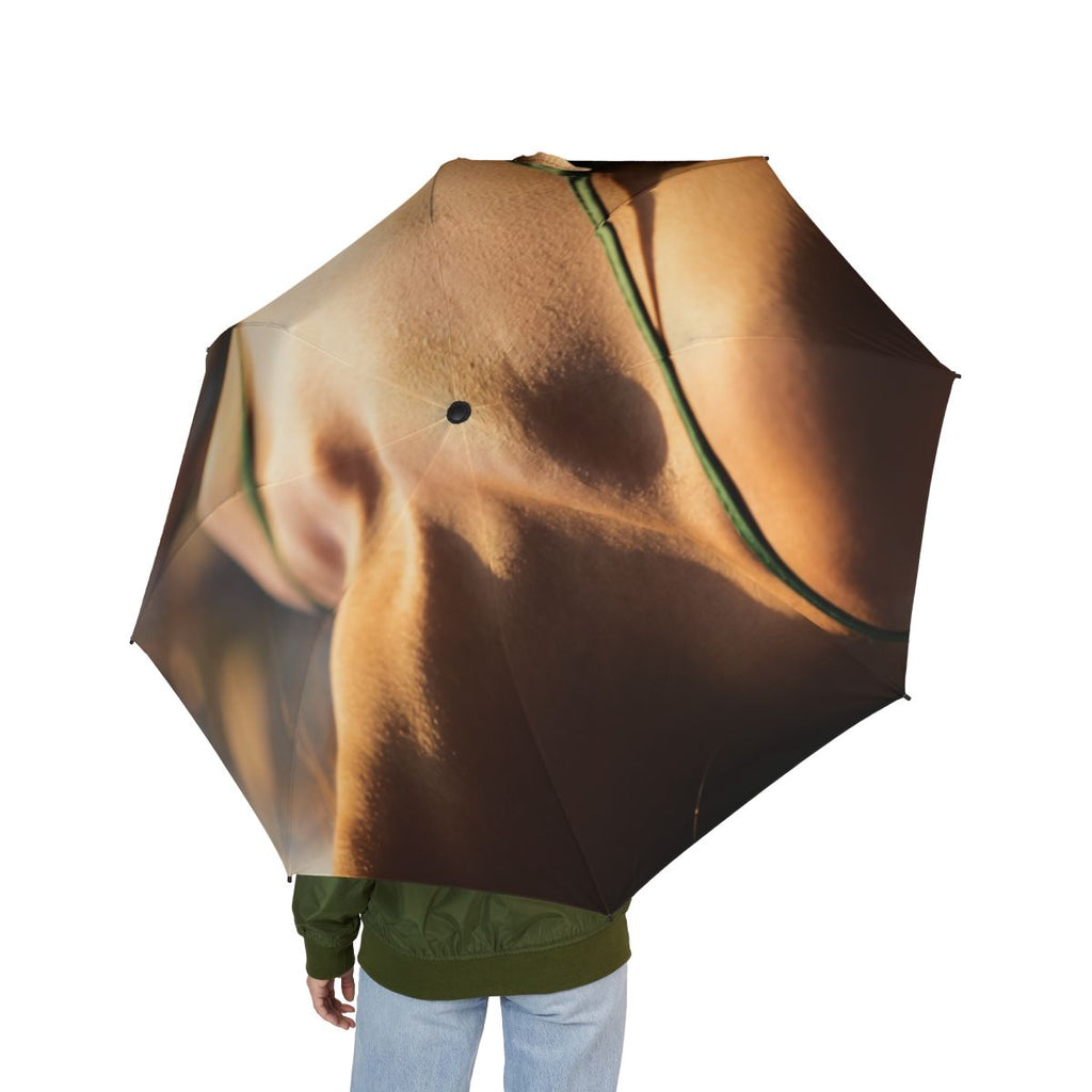 Foldable Umbrella - Sunlit Rainy Days