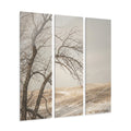 Acrylic Prints Triptych - Winter Solitude Landscape —... |...