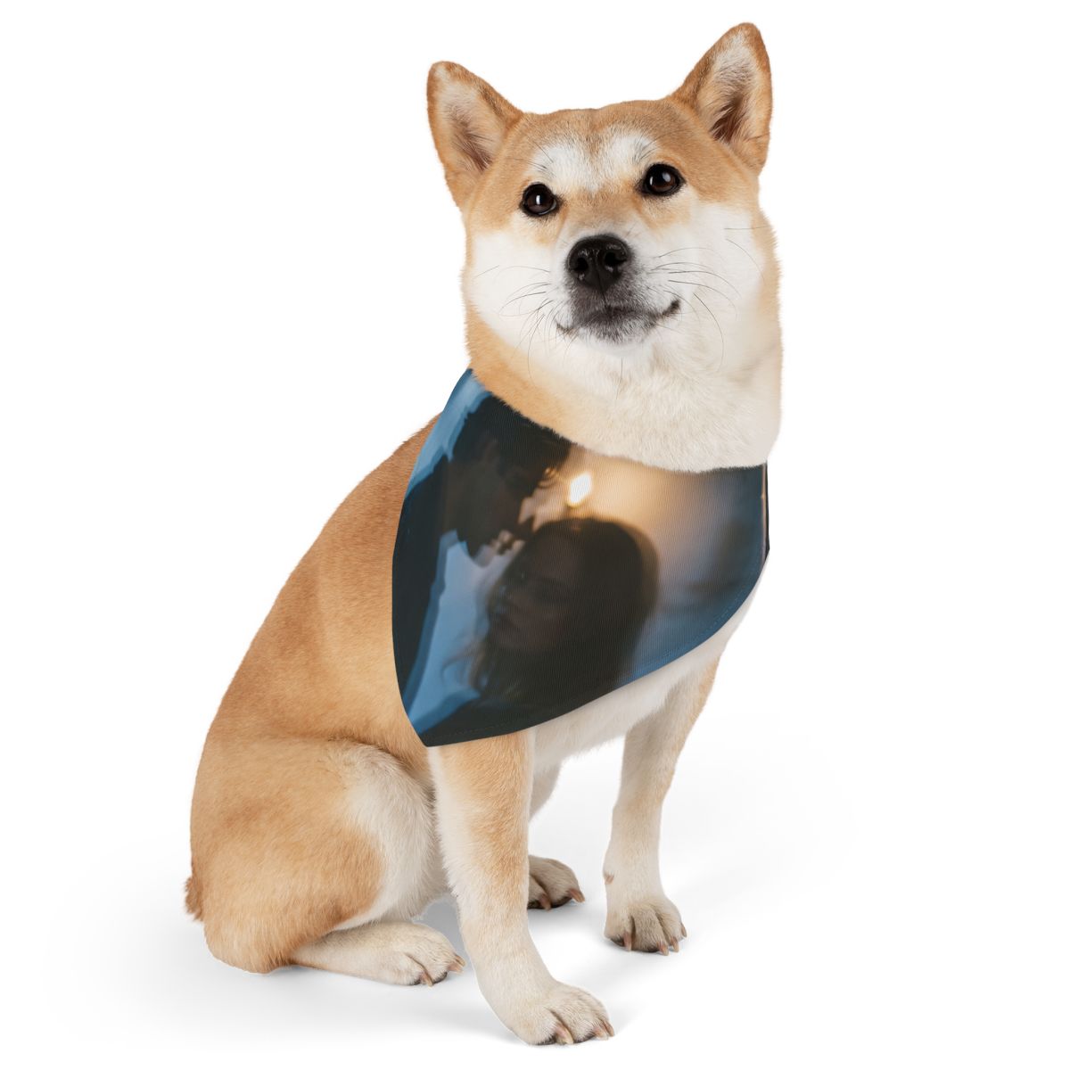 Midnight Reflections Bandana Collar - Moody Dog Collar |...