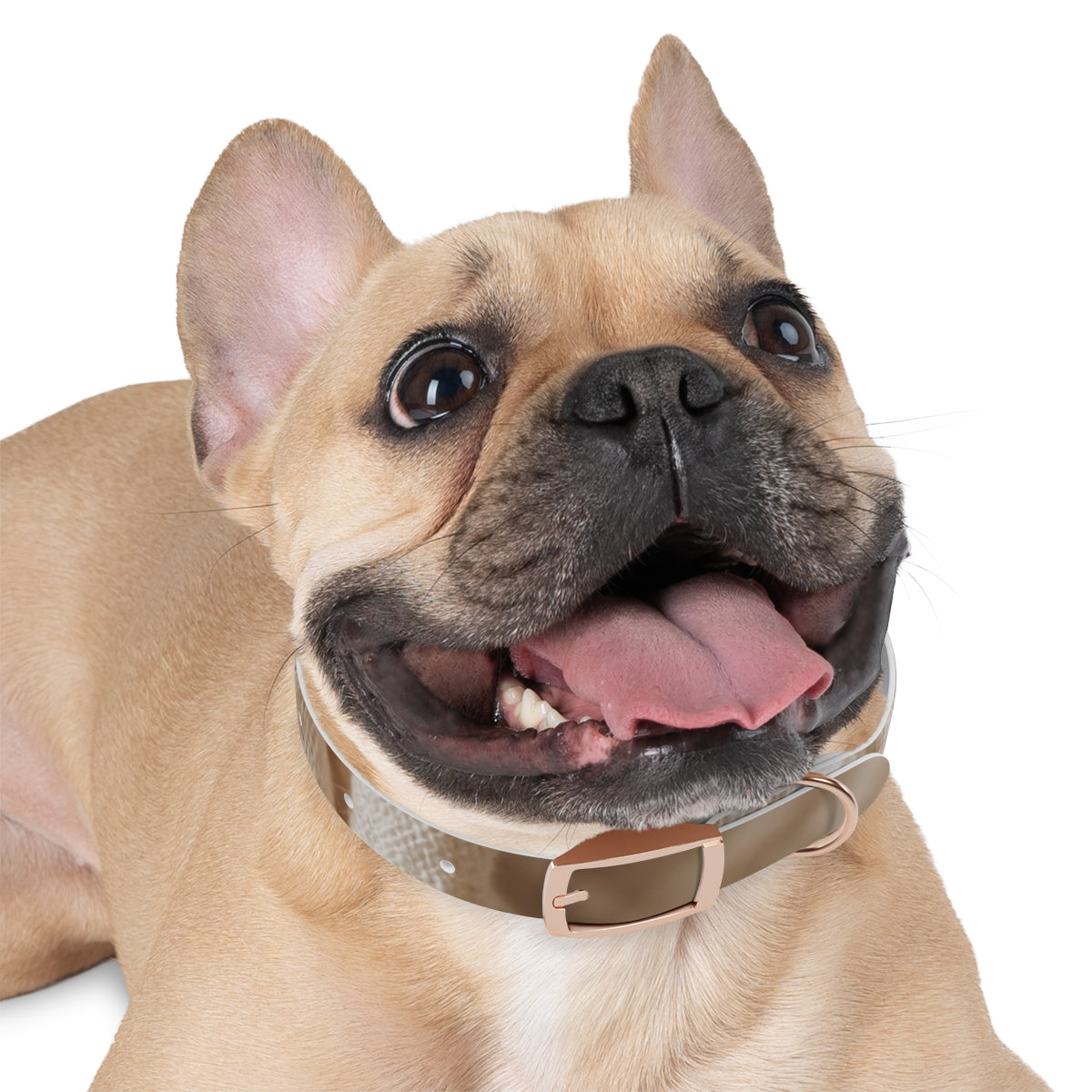 Dog Collar - Earth Toned Pet Style