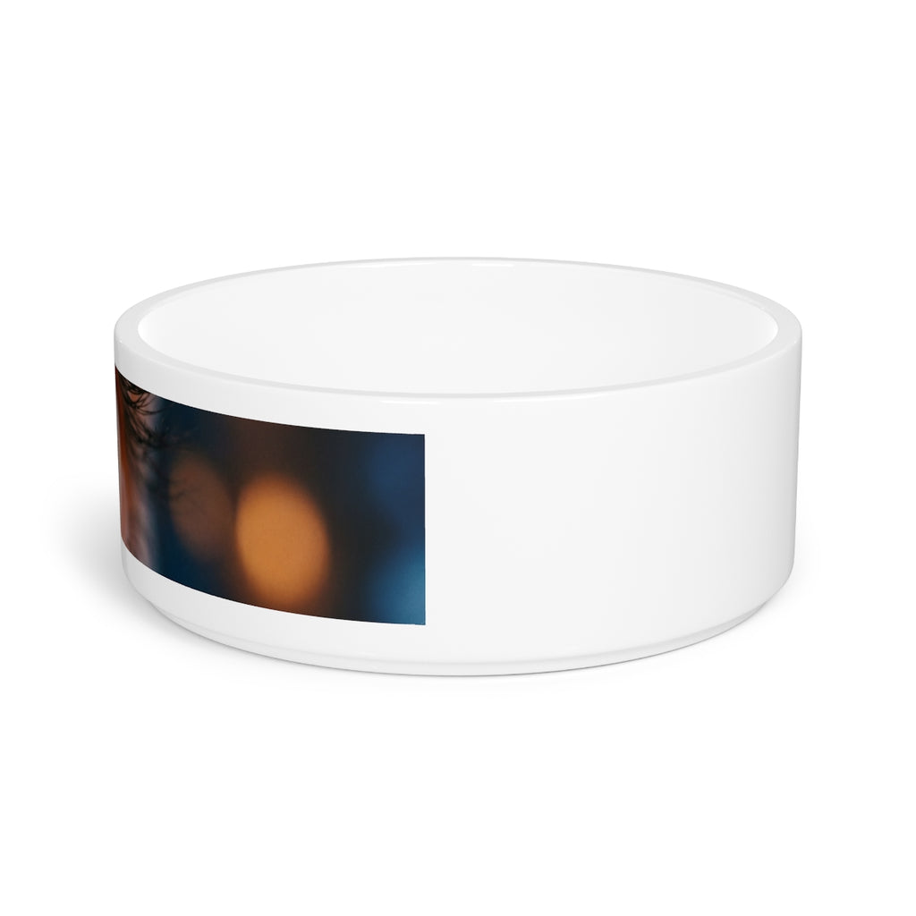 Pet Bowl - Dramatic Luminous Tear Art