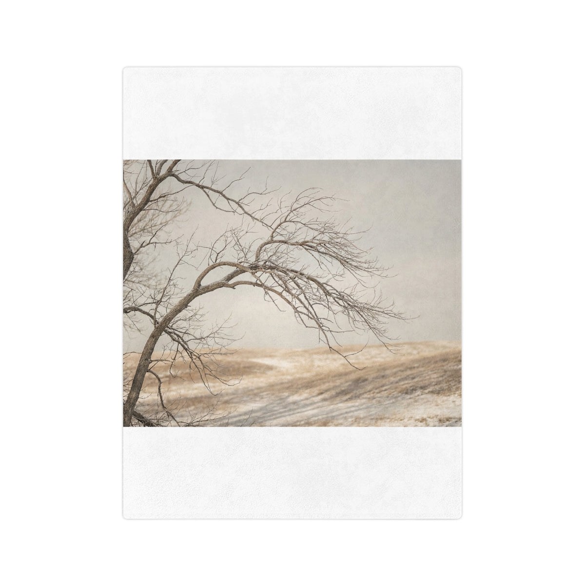 Velveteen Microfiber Blanket - Winter Branch Solitude... |...
