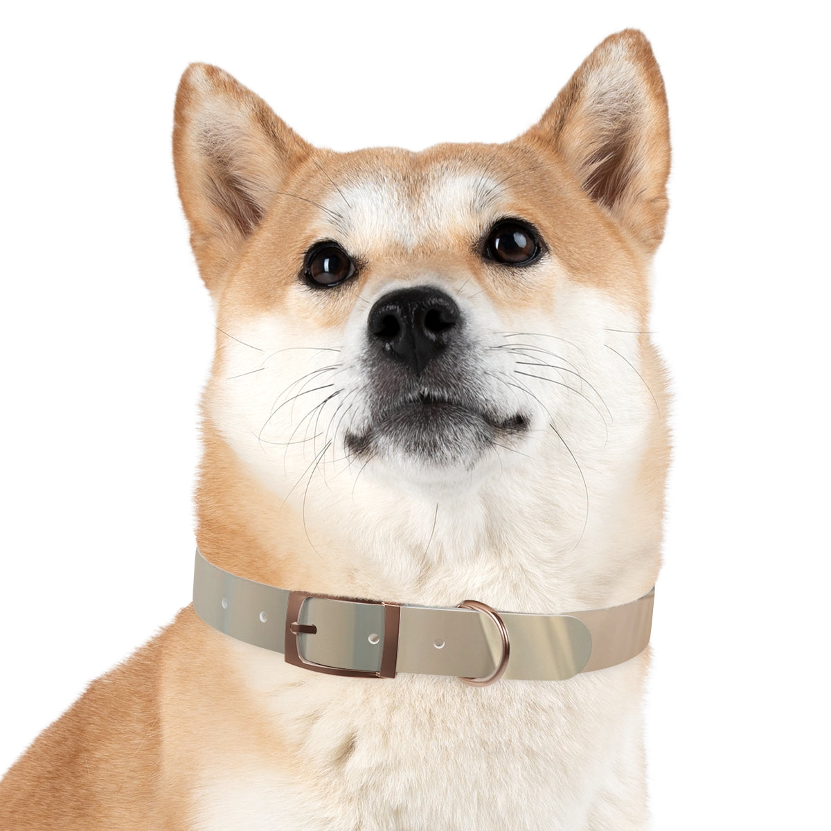 Pastel Dream Dog Collar - Gentle Pet Style