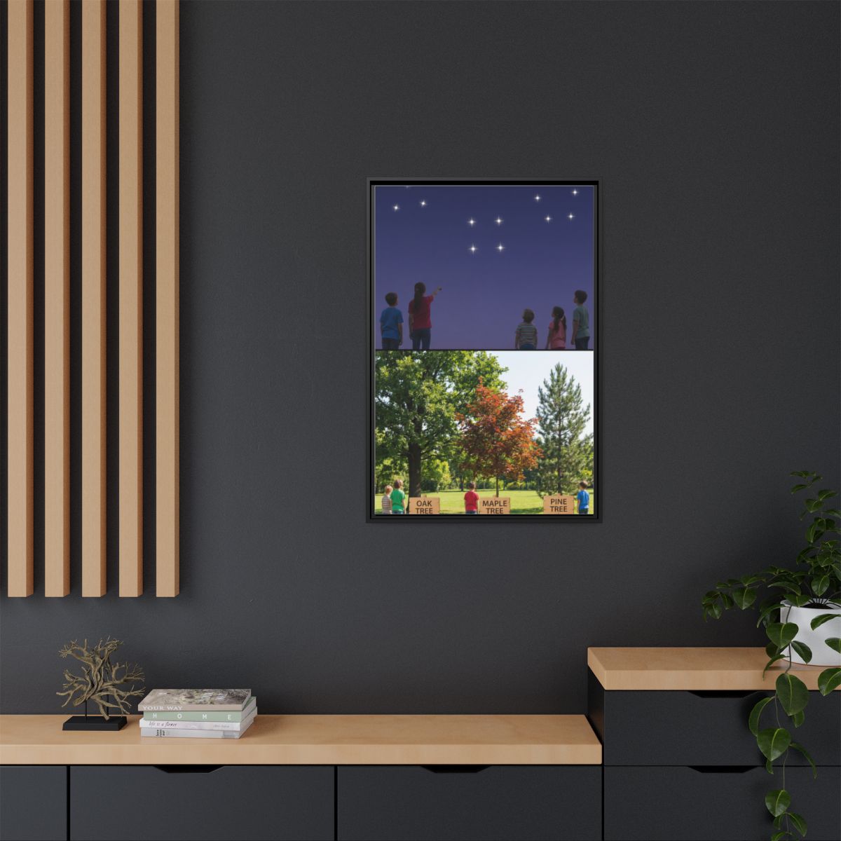 Framed Matte Canvas - Discovery — Black / 1.25"