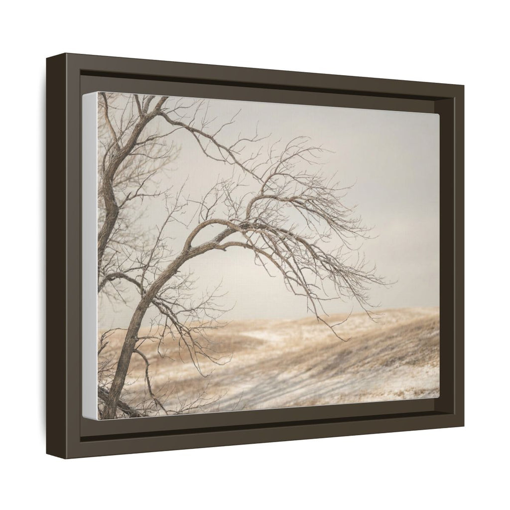 Framed Canvas Art - Minimalist Winter — Espresso / 1.25"