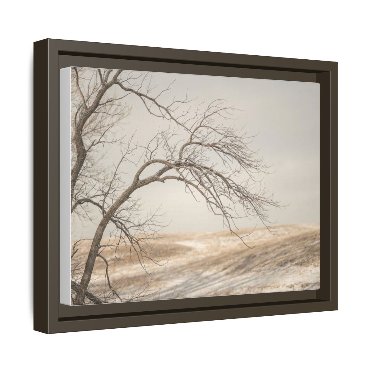 Framed Canvas Art - Minimalist Winter — Espresso / 1.25"