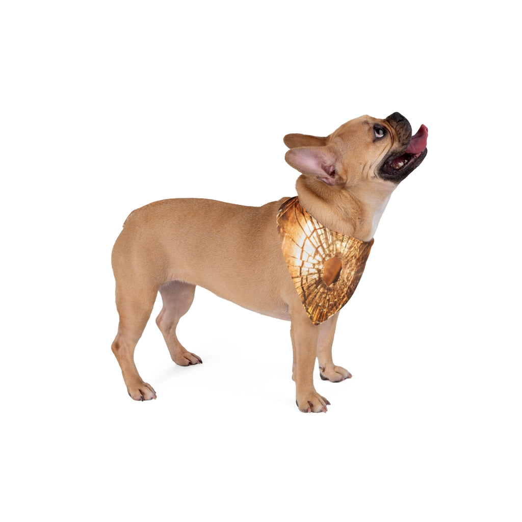 Pet Bandana - Fractured Light Shattered Glass Art | Echovira...