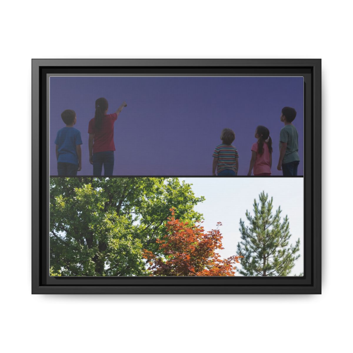 Framed Matte Canvas - Wilderness Gallery