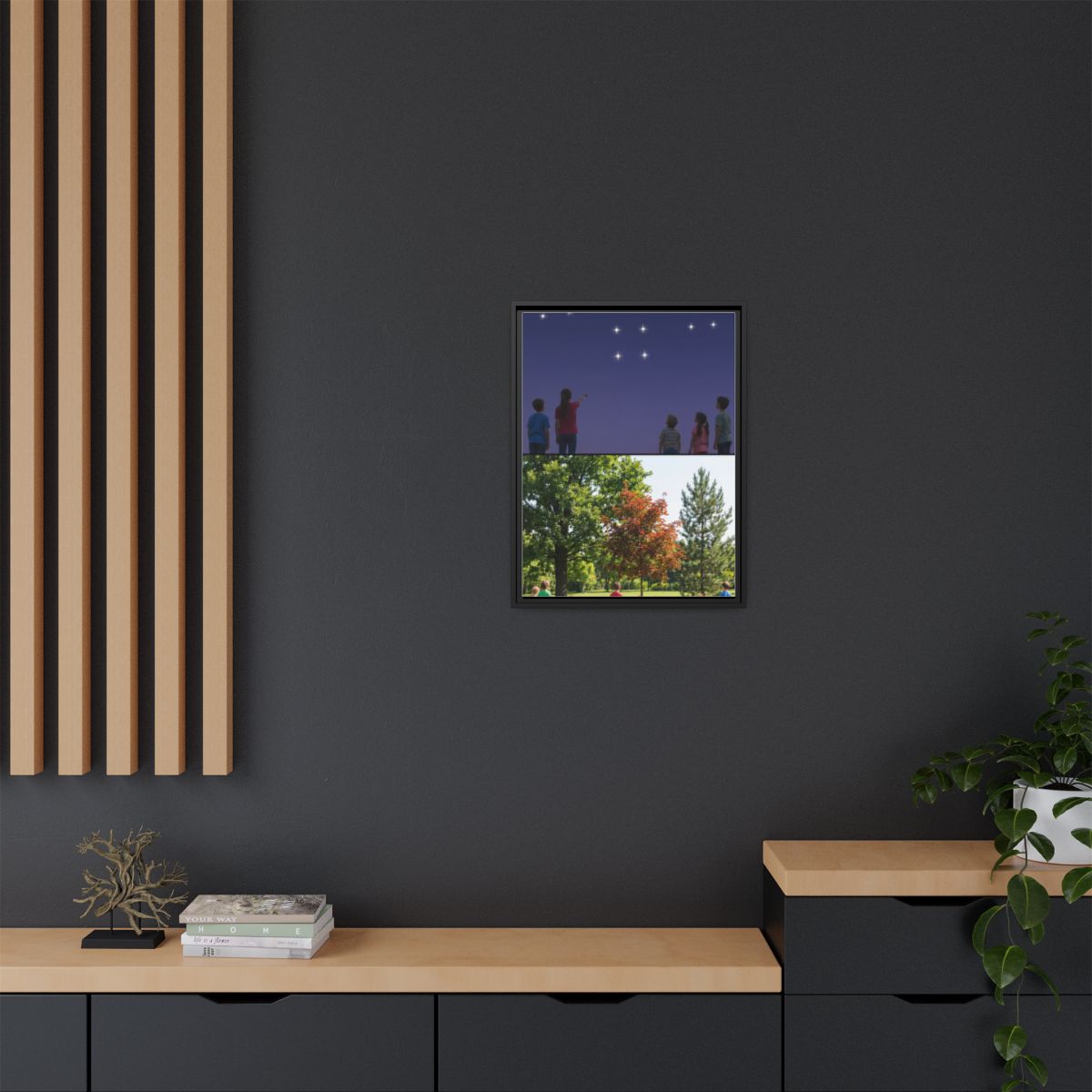 Framed Matte Canvas - Discovery — Black / 1.25"