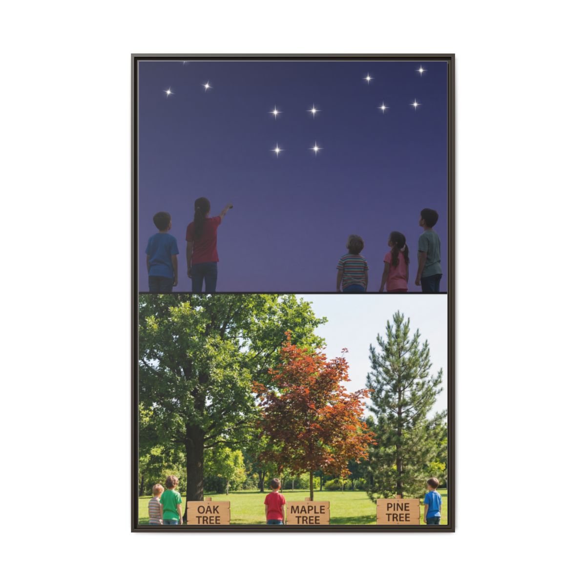 Framed Matte Canvas - Discovery — Espresso / 1.25"