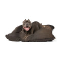 Pet Bed - Brutalist Slumber