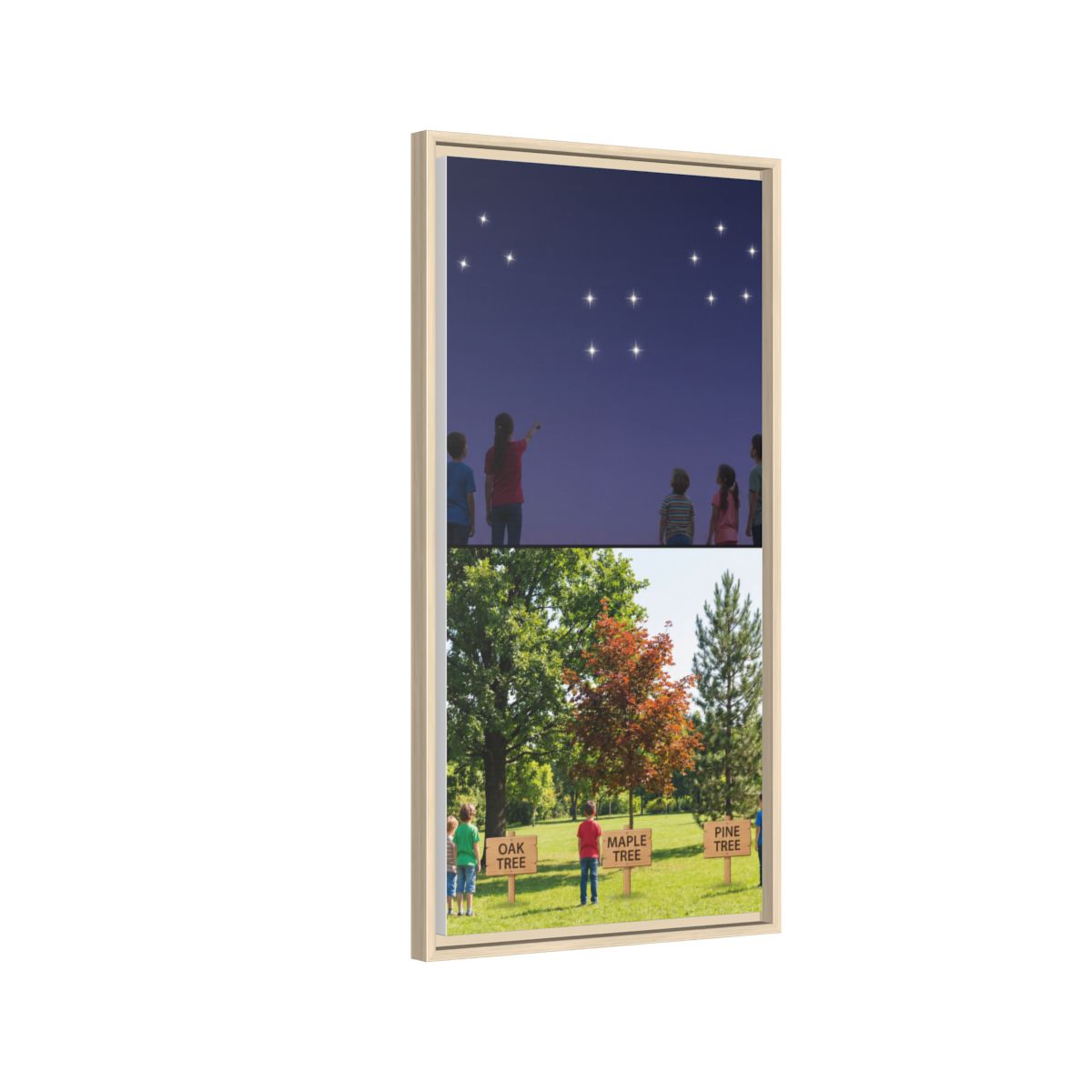 Framed Matte Canvas - Discovery — Natural / 1.25"