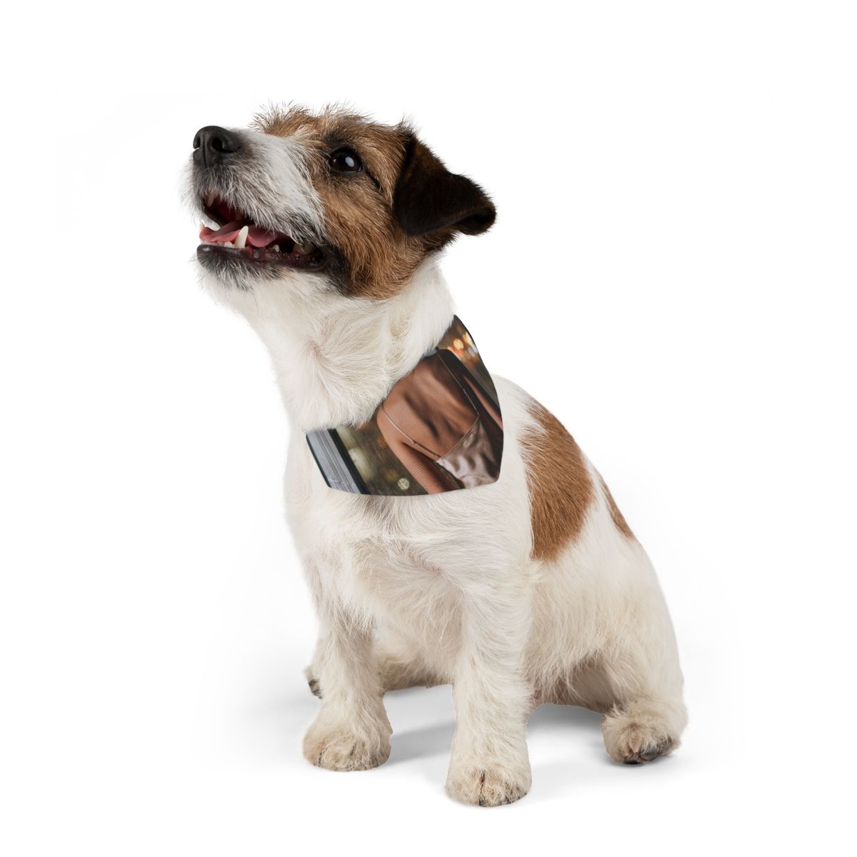 Pet Bandana Collar - Chic Canine Look