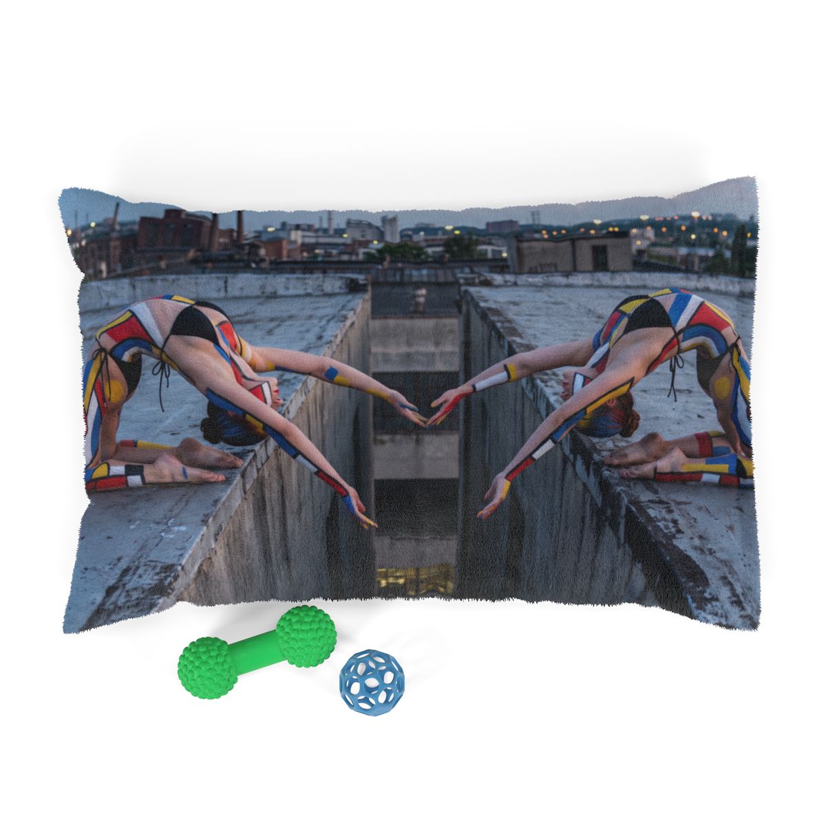 Pet Bed - Modernist Rooftop | Echovira Gallery