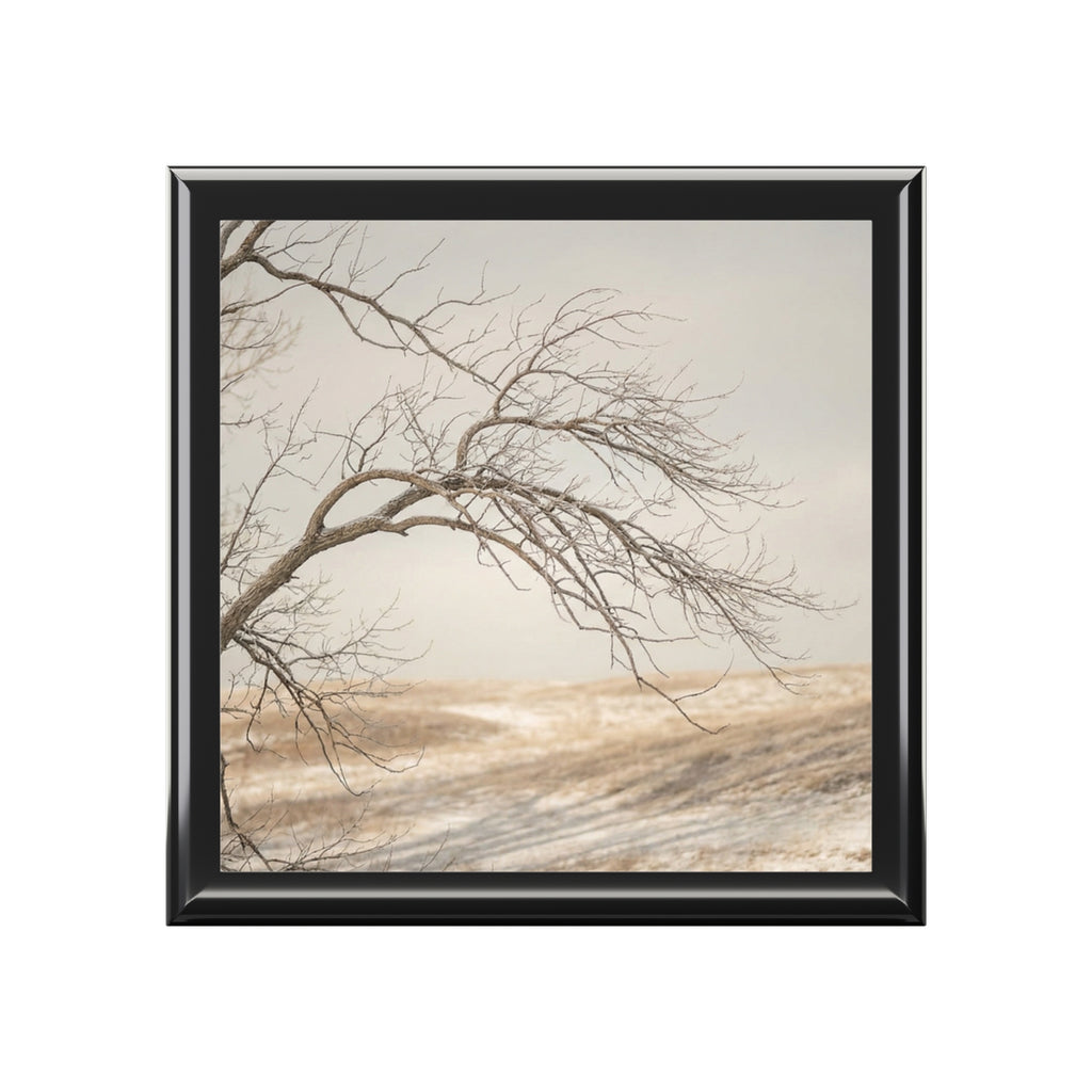 Jewelry Box - Hushed Winter Elegance