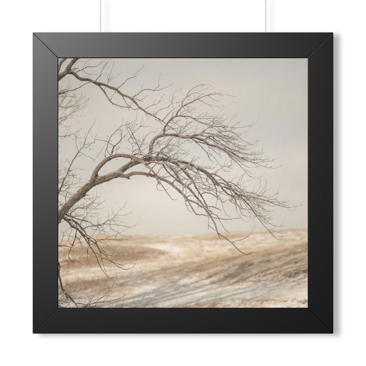 Framed Horizontal Poster - Winter Branch Solitude Landscape...
