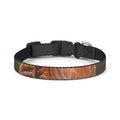 Clip-on Pet Collar - Golden Rays of Unity Wall Art |...