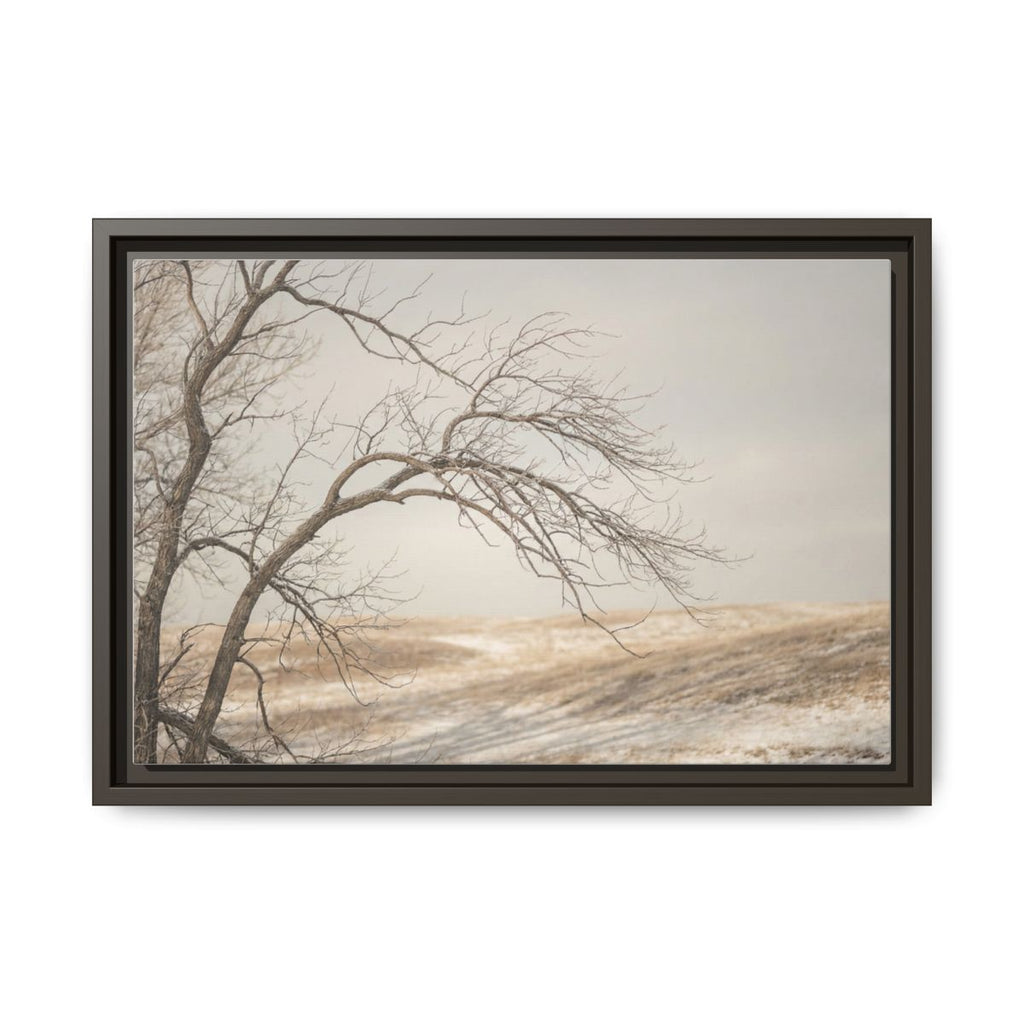 Framed Canvas Art - Minimalist Winter — Espresso / 1.25"